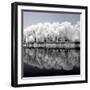 China 10MKm2 Collection - Another Look - Reflections-Philippe Hugonnard-Framed Photographic Print