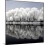 China 10MKm2 Collection - Another Look - Reflections-Philippe Hugonnard-Mounted Photographic Print