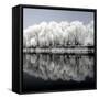 China 10MKm2 Collection - Another Look - Reflections-Philippe Hugonnard-Framed Stretched Canvas