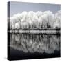 China 10MKm2 Collection - Another Look - Reflections-Philippe Hugonnard-Stretched Canvas