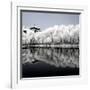 China 10MKm2 Collection - Another Look - Reflections-Philippe Hugonnard-Framed Photographic Print