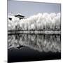 China 10MKm2 Collection - Another Look - Reflections-Philippe Hugonnard-Mounted Photographic Print