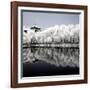 China 10MKm2 Collection - Another Look - Reflections-Philippe Hugonnard-Framed Photographic Print