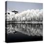 China 10MKm2 Collection - Another Look - Reflections-Philippe Hugonnard-Stretched Canvas