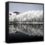 China 10MKm2 Collection - Another Look - Reflections-Philippe Hugonnard-Framed Stretched Canvas