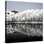 China 10MKm2 Collection - Another Look - Reflections-Philippe Hugonnard-Stretched Canvas