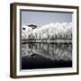 China 10MKm2 Collection - Another Look - Reflections-Philippe Hugonnard-Framed Photographic Print