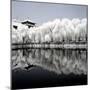 China 10MKm2 Collection - Another Look - Reflections-Philippe Hugonnard-Mounted Photographic Print