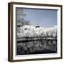 China 10MKm2 Collection - Another Look - Reflections-Philippe Hugonnard-Framed Photographic Print