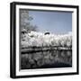 China 10MKm2 Collection - Another Look - Reflections-Philippe Hugonnard-Framed Photographic Print