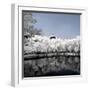 China 10MKm2 Collection - Another Look - Reflections-Philippe Hugonnard-Framed Photographic Print