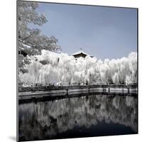 China 10MKm2 Collection - Another Look - Reflections-Philippe Hugonnard-Mounted Photographic Print