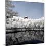 China 10MKm2 Collection - Another Look - Reflections-Philippe Hugonnard-Mounted Photographic Print