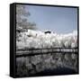 China 10MKm2 Collection - Another Look - Reflections-Philippe Hugonnard-Framed Stretched Canvas