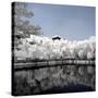 China 10MKm2 Collection - Another Look - Reflections-Philippe Hugonnard-Stretched Canvas