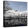 China 10MKm2 Collection - Another Look - Reflections-Philippe Hugonnard-Stretched Canvas