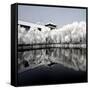 China 10MKm2 Collection - Another Look - Reflections-Philippe Hugonnard-Framed Stretched Canvas