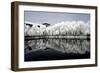 China 10MKm2 Collection - Another Look - Reflections-Philippe Hugonnard-Framed Photographic Print