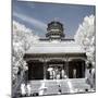 China 10MKm2 Collection - Another Look - Summer Palace-Philippe Hugonnard-Mounted Photographic Print