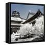 China 10MKm2 Collection - Another Look - Summer Palace-Philippe Hugonnard-Framed Stretched Canvas