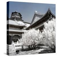 China 10MKm2 Collection - Another Look - Summer Palace-Philippe Hugonnard-Stretched Canvas