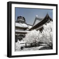 China 10MKm2 Collection - Another Look - Summer Palace-Philippe Hugonnard-Framed Photographic Print