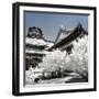 China 10MKm2 Collection - Another Look - Summer Palace-Philippe Hugonnard-Framed Photographic Print