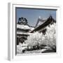 China 10MKm2 Collection - Another Look - Summer Palace-Philippe Hugonnard-Framed Photographic Print