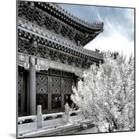 China 10MKm2 Collection - Another Look - Summer Palace-Philippe Hugonnard-Mounted Photographic Print