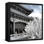 China 10MKm2 Collection - Another Look - Summer Palace-Philippe Hugonnard-Framed Stretched Canvas