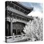 China 10MKm2 Collection - Another Look - Summer Palace-Philippe Hugonnard-Stretched Canvas