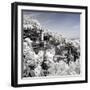 China 10MKm2 Collection - Another Look - Summer Palace-Philippe Hugonnard-Framed Photographic Print