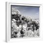 China 10MKm2 Collection - Another Look - Summer Palace-Philippe Hugonnard-Framed Photographic Print