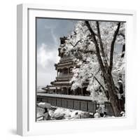 China 10MKm2 Collection - Another Look - Summer Palace-Philippe Hugonnard-Framed Photographic Print