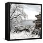 China 10MKm2 Collection - Another Look - Summer Palace-Philippe Hugonnard-Framed Stretched Canvas