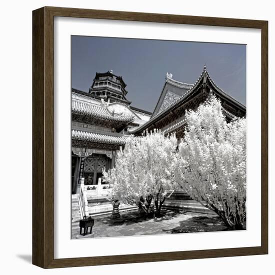 China 10MKm2 Collection - Another Look - Summer Palace-Philippe Hugonnard-Framed Photographic Print