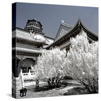 China 10MKm2 Collection - Another Look - Summer Palace-Philippe Hugonnard-Stretched Canvas