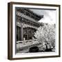 China 10MKm2 Collection - Another Look - Summer Palace-Philippe Hugonnard-Framed Photographic Print