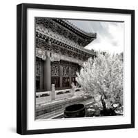 China 10MKm2 Collection - Another Look - Summer Palace-Philippe Hugonnard-Framed Photographic Print