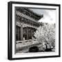 China 10MKm2 Collection - Another Look - Summer Palace-Philippe Hugonnard-Framed Photographic Print