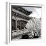 China 10MKm2 Collection - Another Look - Summer Palace-Philippe Hugonnard-Framed Photographic Print