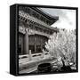 China 10MKm2 Collection - Another Look - Summer Palace-Philippe Hugonnard-Framed Stretched Canvas