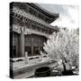 China 10MKm2 Collection - Another Look - Summer Palace-Philippe Hugonnard-Stretched Canvas