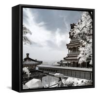 China 10MKm2 Collection - Another Look - Summer Palace-Philippe Hugonnard-Framed Stretched Canvas