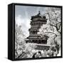 China 10MKm2 Collection - Another Look - Summer Palace-Philippe Hugonnard-Framed Stretched Canvas