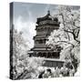 China 10MKm2 Collection - Another Look - Summer Palace-Philippe Hugonnard-Stretched Canvas