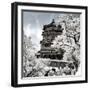 China 10MKm2 Collection - Another Look - Summer Palace-Philippe Hugonnard-Framed Photographic Print