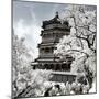 China 10MKm2 Collection - Another Look - Summer Palace-Philippe Hugonnard-Mounted Photographic Print