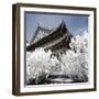 China 10MKm2 Collection - Another Look - Summer Palace-Philippe Hugonnard-Framed Photographic Print