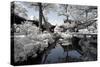 China 10MKm2 Collection - Another Look - Temple Lake-Philippe Hugonnard-Stretched Canvas
